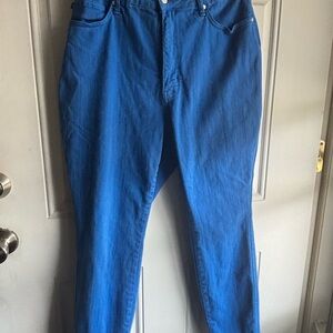 Judy Blue Skinny Fit Women’s Plus Size Jeans in Deep Blue